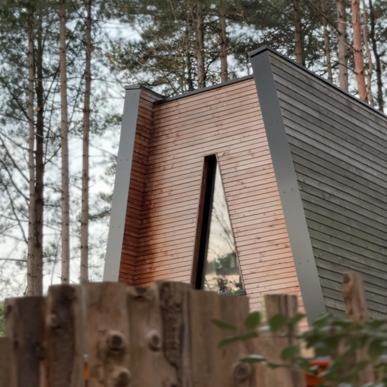 BAIN DE FORÊT - Cabanes dans les bois – Image 3