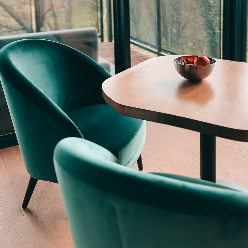 CIMEO - Cabanes dans les arbres – Image 6