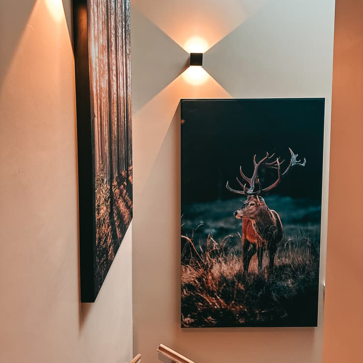 DOMAINE DE BRA - Hôtel et lodges – Image 2