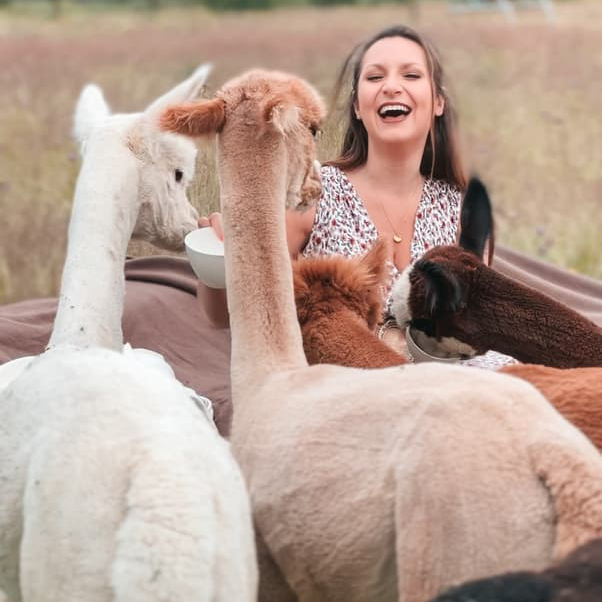HOTEL DOMAINE DES HAUTES FAGNES (Balade avec des Alpagas)