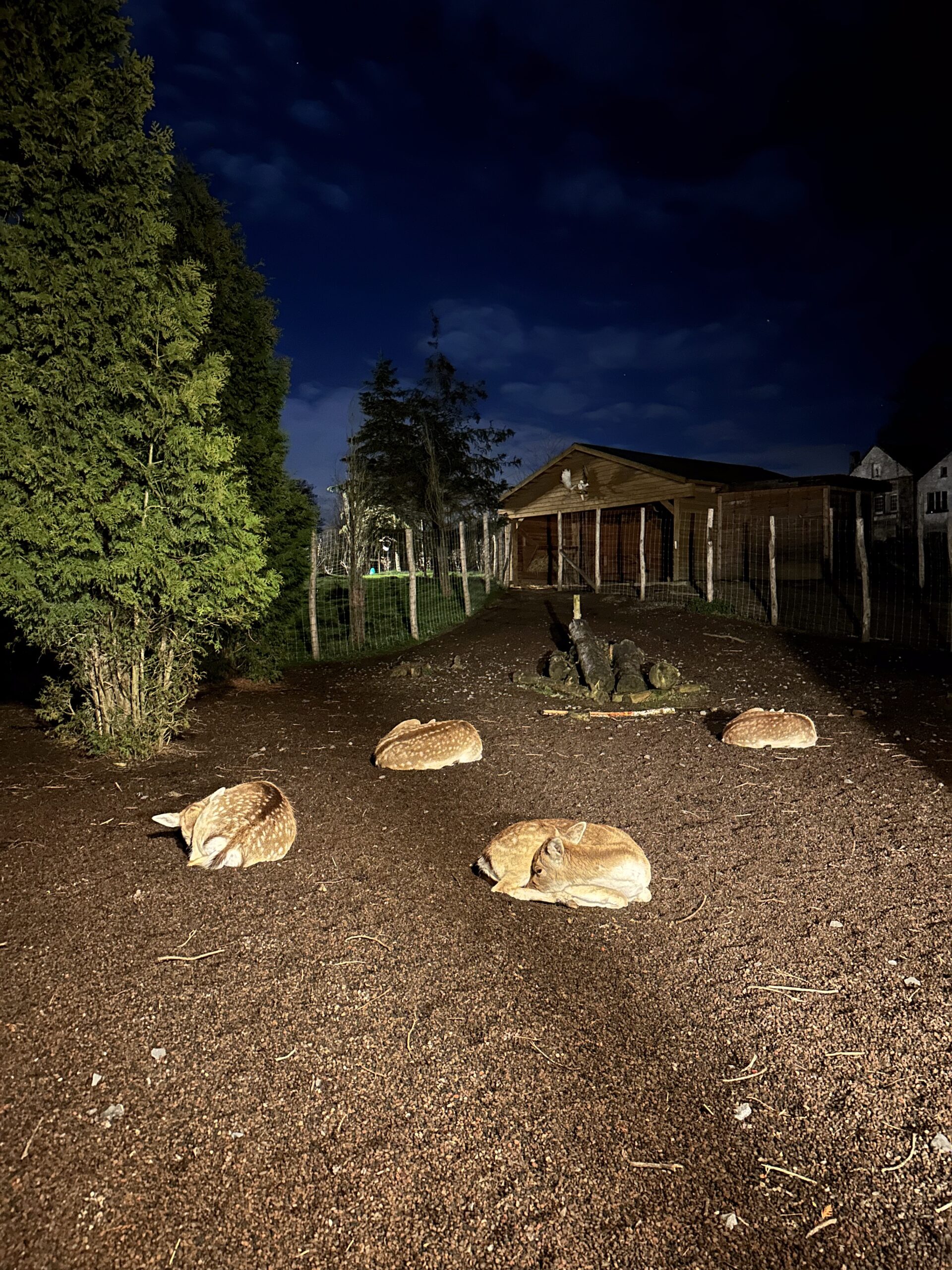 PAIRI DAIZA - Parc animalier – Image 6