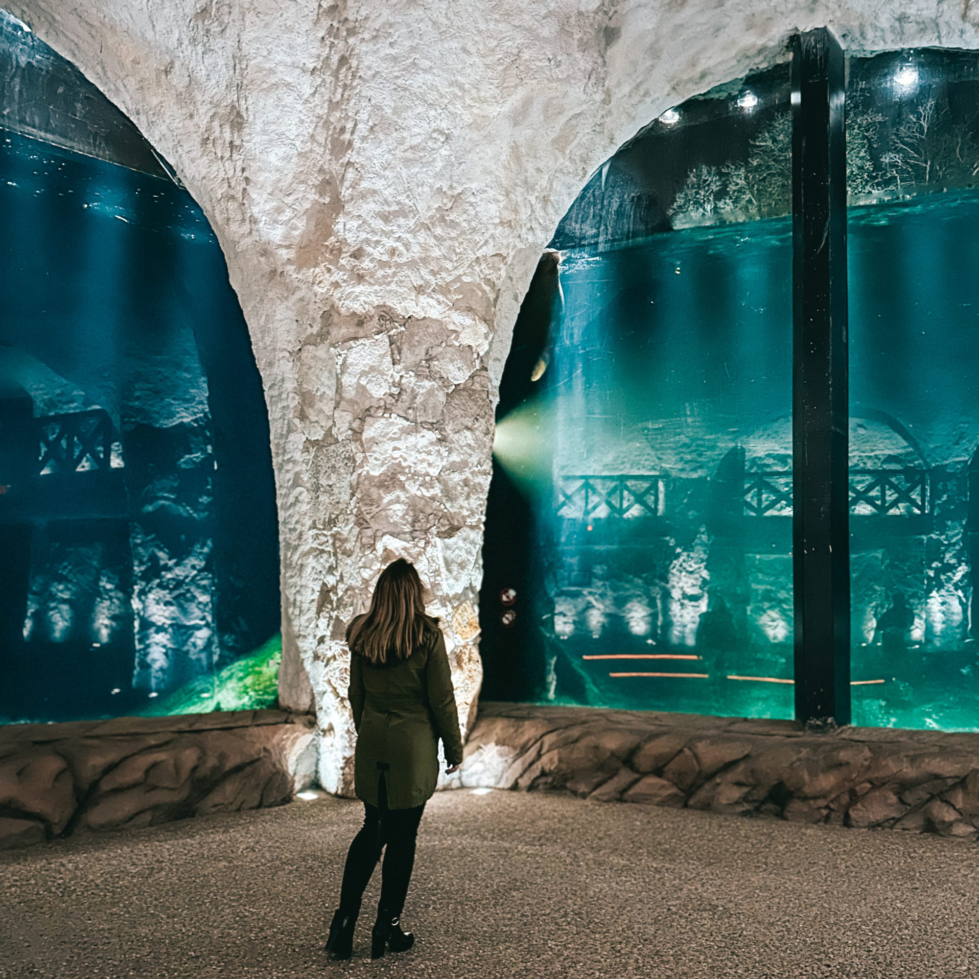 PAIRI DAIZA - Parc animalier