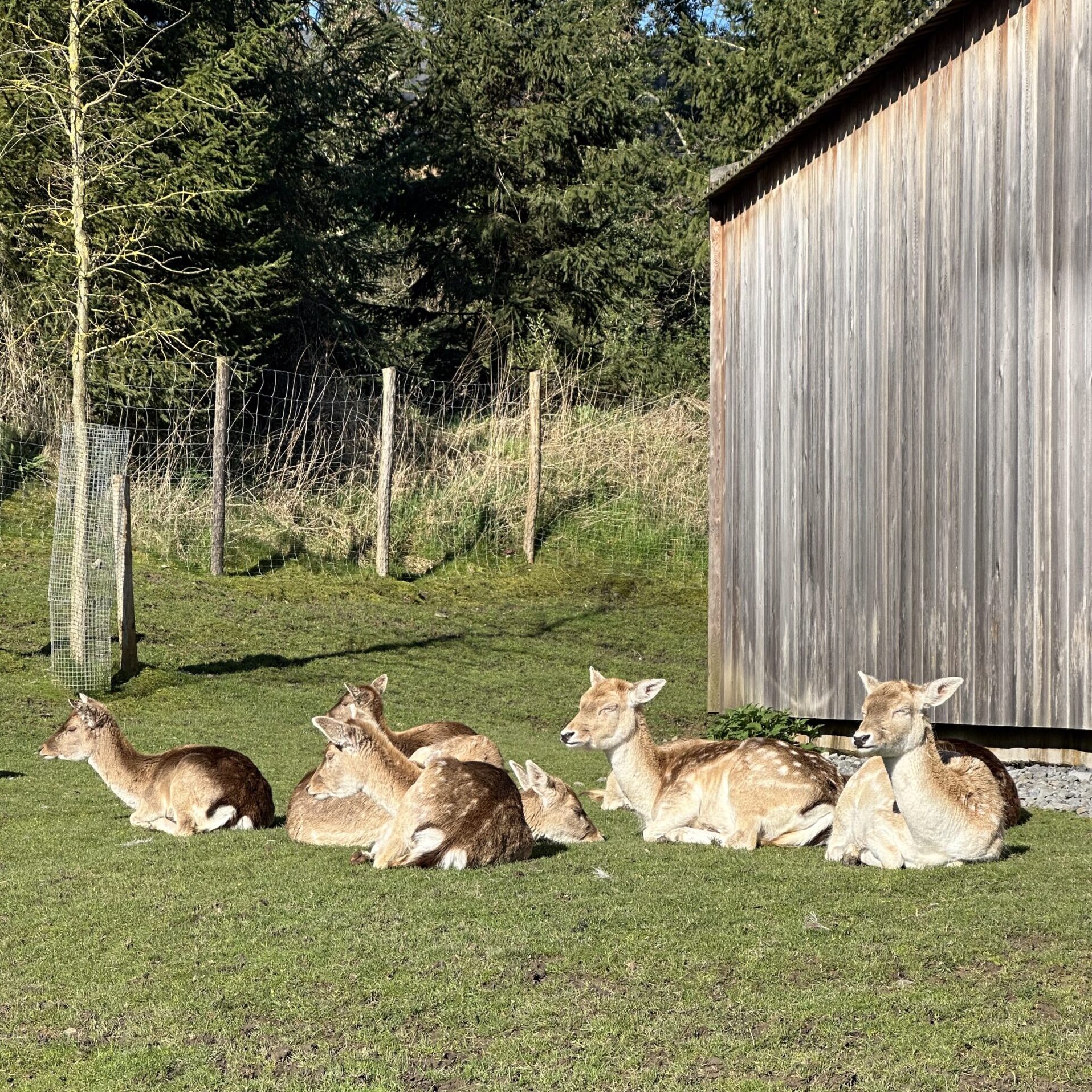 PAIRI DAIZA - Parc animalier – Image 5