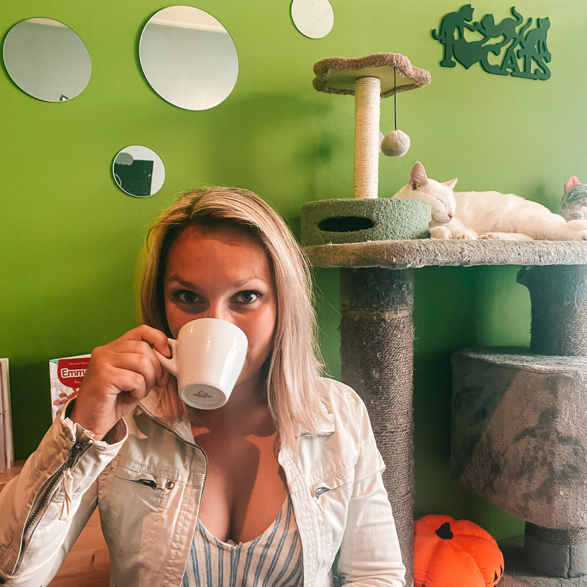 LE NEW CHATOUILLE - Bar à chats – Image 2